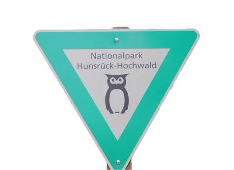 In the forest Stock Photos