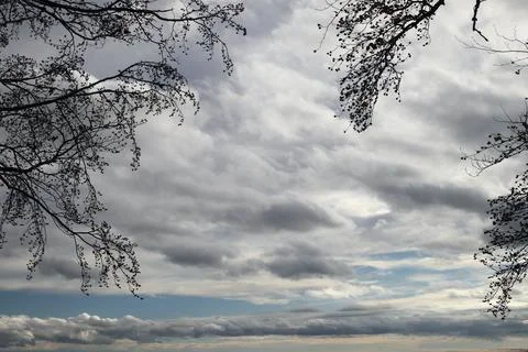 In the forest Stock Photos