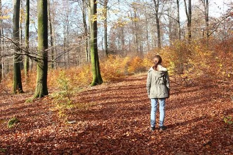 In the forest Stock Photos