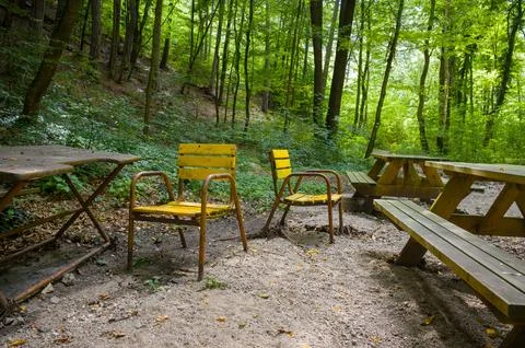 Forest Picnic Area Stock Photos