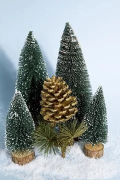 Forest pine cone gold Stock Photos
