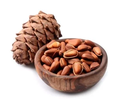 Forest pine cones and pine nuts Stock Photos