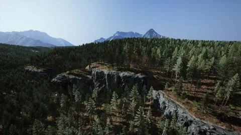 Forest of pine in the mountains Stock Illustration