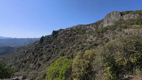 Forest pine trees and unique rock formations at Madari mountain trail in Cyprus Stock Footage 336738758