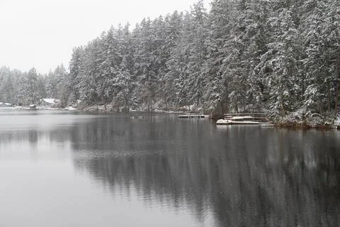 A forest of pine trees reflecting in a lake Fotos Stock