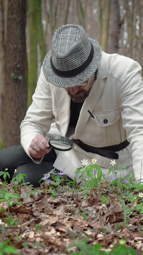 Forest Plant Discovery Stock Footage 322793833