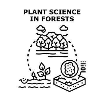 Forest plant science studying growth and ecology Stock Illustration