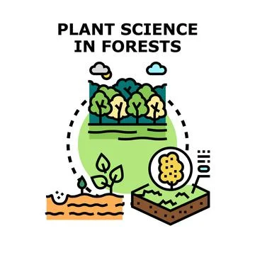 Forest plant science studying growth and ecology Stock Illustration