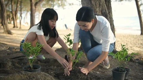 Forest planting concept. Families are helping to grow trees to protect the en Stock Footage