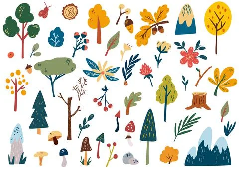 Forest plants clipart collection. Hand drawn woodland trees, herbs, mushrooms Stock Illustration