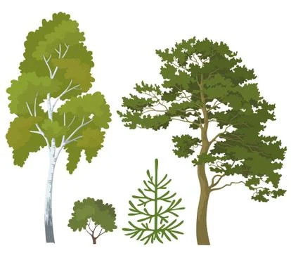 Forest plants set Stock Illustration