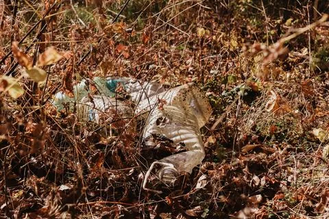 Forest plastic pollution Stock Photos