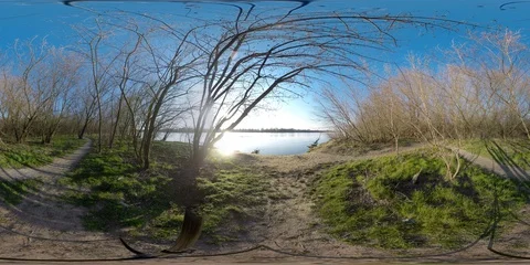 Forest Poland Wisła trees river Video stock 127419930