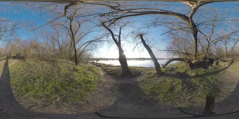 Forest Poland Wisła trees sunset river vistula Video stock 127421598