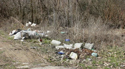 Forest pollution 11 Stock Footage 33849291