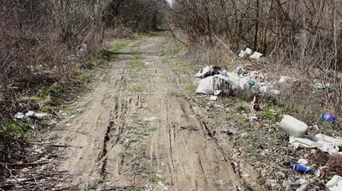 Forest pollution 3 Stock Footage 33848256