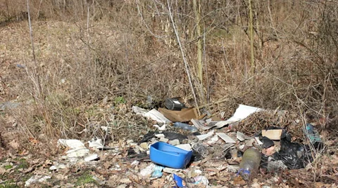 Forest pollution 8 Stock Footage 33844629