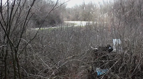 Forest pollution 9 Stock Footage 33843192