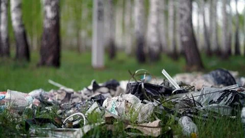 Forest Pollution. Dump Garbage in Woods Stock Photos