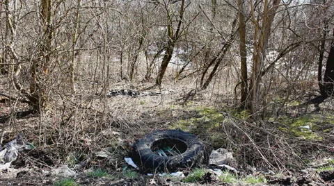 Forest pollution Stock Footage 33850461