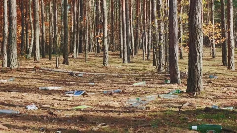 Forest Pollution Showing Litter and Garbage Scattered on Woodland Floor Video stock 342709007