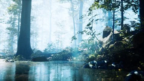 Forest with pond and mist with sunrays Ilustración de archivo