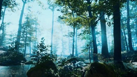 Forest with pond and mist with sunrays Ilustración de archivo
