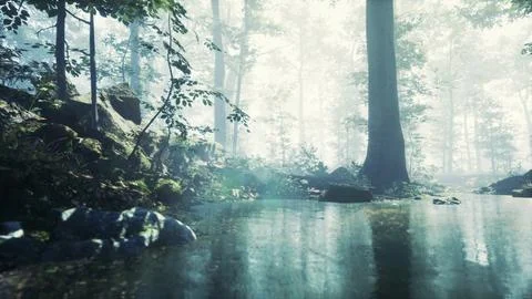 Forest with pond and mist with sunrays Ilustración de archivo