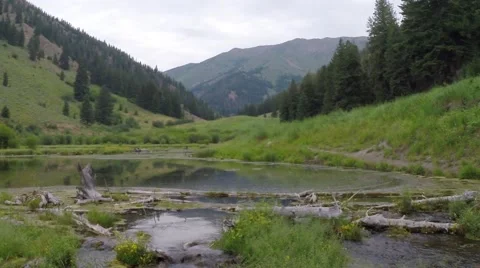 Forest, Pond and Mountain view of Idaho Stock Footage 51939135