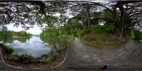 Forest Pond and Pathway in Overcast - VR360 360 Panoramic, NZ Stock Footage 331552776