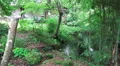 Forest Pond By Japanese House 4k or 4k+ Resolution