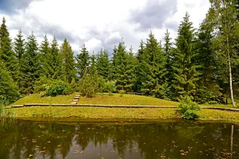 Forest pond Foto stock