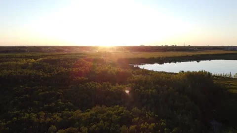 Forest pond sunset Stock Footage 199511839
