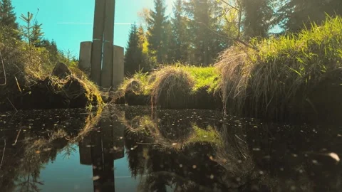 Forest Pond Surface Reflection Slow Motion Video stock 308231607