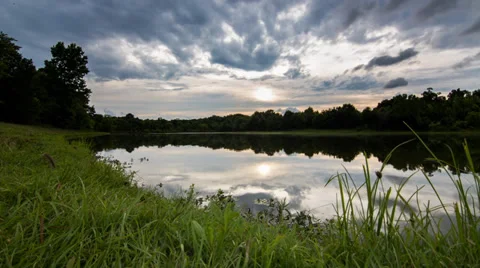 Forest Pond Time Lapse Stock-Footage 33140621