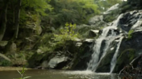 Forest pool below Kapidag waterfall in Erdek Stock Footage 336467085