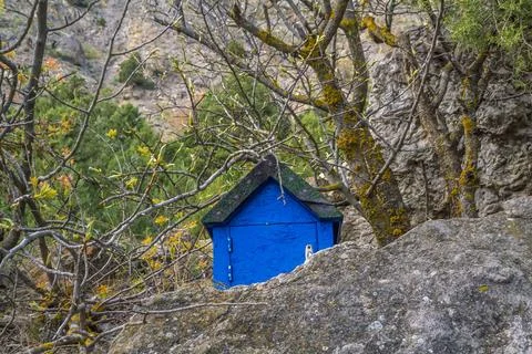 Forest Post Stock Photos