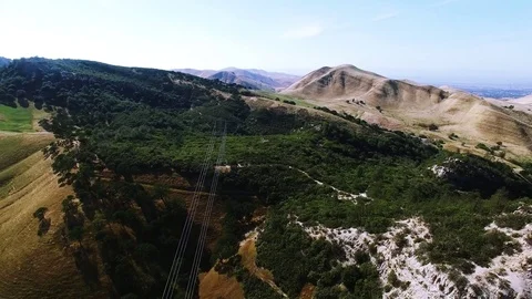 Forest with power lines Vídeos de archivo 71342730