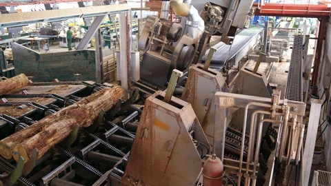 Forest product industries. Sawmill. Process of machining logs in a machine Stock Footage 119153157