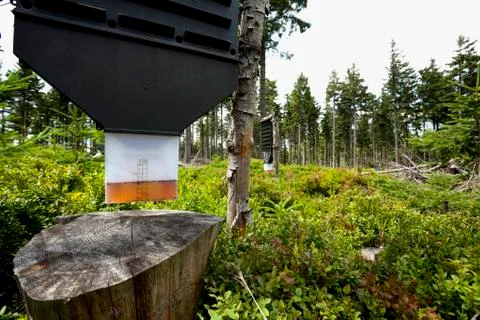 Forest protect against tree pests Stock Photos