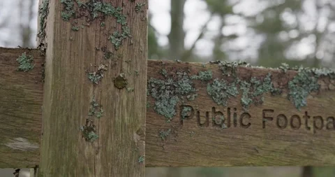 Forest Public Footpath Sign Winter Stock Footage 262154190