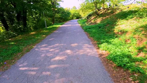 Forest in public park. Stock Footage 168579339