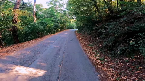 Forest in public park. Видео 168579351