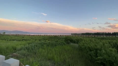 Forest rainbow Stock Footage 232082581