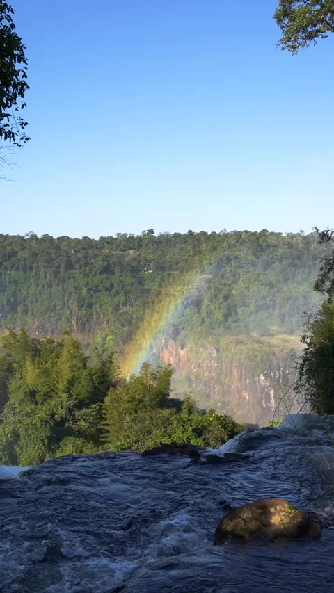 Forest rainbow waterfall Stock Footage 267168204