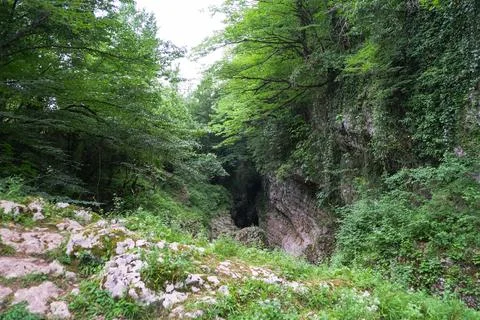 Forest ravine and limestone cliffs near Kutaisi, western Georgia Stock Photos