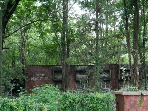 Forest Reclaims Dilapidated Building Structure Stock Photos