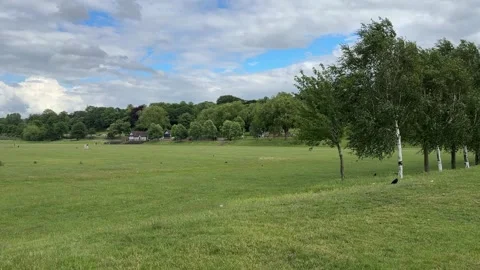 Forest Recreation Ground Nottingham England Urban Park Stock Footage 336845582