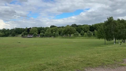 Forest Recreation Ground Nottingham England Urban Park Stock Footage 336845583
