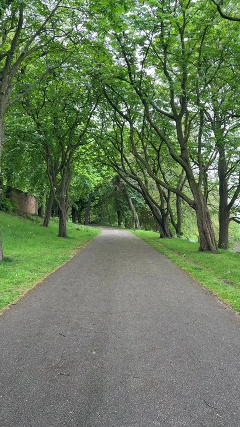 Forest Recreation Ground Nottingham Park Open Space UK. Stock Footage 334315327